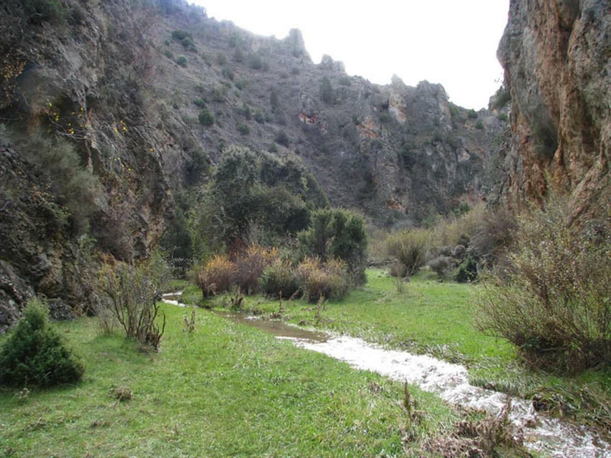 Casa La Herradura Royuela Екстериор снимка